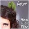 Das Debut "Yes I Say No" von Lily Yellow