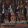 "Pavillon suisse" aus Zürich: Galatea Quartet Live