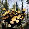 Der Binding Waldpreis 2012 geht in die Nordwestschweiz