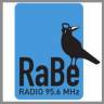 STADT BERN ZEICHNET RADIO "RaBe" UND FAHRDIENST TIXI MIT DEM SOZIALPREIS 2017 AUS