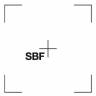 Internationale Auszeichnung für das SBF-Logo